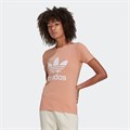 Купить оптом Футболка Adidas TREFOIL TEE AMBLUS H33566 Female 32 H33566 - фото 97098