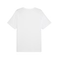 Купить оптом Puma Футболка Pl Core Tee, 66035702 66035702