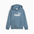 Купить оптом Puma Джемпер Ess No. 1 Logo Hoodie, 68493134 68493134 - фото 98121