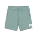 Купить оптом Puma Шорты Ess No. 1 Logo Shorts, 68493530 68493530 - фото 98124