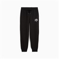 Купить оптом Puma Брюки Class Sweatpants, 68503701 68503701 - фото 98166