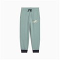 Купить оптом Puma Брюки Sandy Adventures Sweatpants, 68515930 68515930 - фото 98198