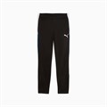 Купить оптом Puma Брюки Individualliga Trainingpants, 65951709 65951709 - фото 99327