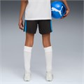 Купить оптом Шорты тренировочные Puma IndividualLIGA Training Shorts 2 Jr (open pockets) 65952109 65952109