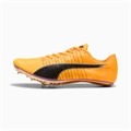Купить оптом Puma Кроссовки Спортивные Легкоатлетические (шиповки) Brush 6, 31198401 31198401 - фото 99529