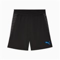Купить оптом Puma Шорты Individualcup Trg Shorts, 66024807 66024807 - фото 99666