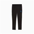 Купить оптом Puma Брюки Individualcup Training Pants, 66025007 66025007 - фото 99669