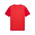 Купить оптом Футболка игровая Puma teamGOAL Graphic Jersey Jr 70711301 70711301